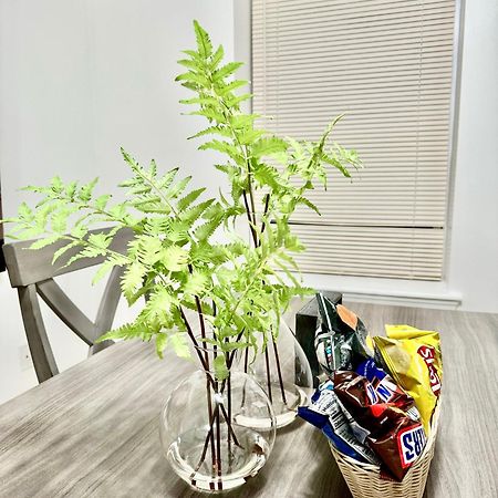 Cozy Evergreen Apartment By Newark Airport Zewnętrze zdjęcie